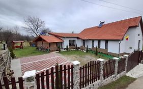 Pensiunea Narcisa cu Ciubar